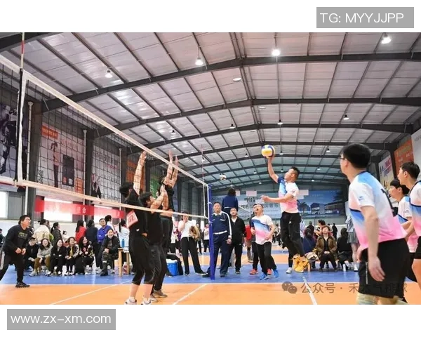 排球新手必看：力量训练基础与技巧全面解析助你快速提升球技